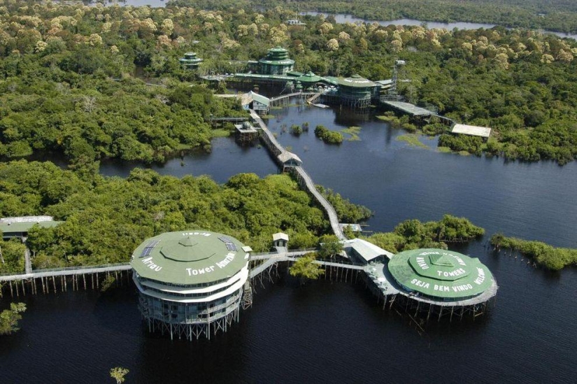 10 hoteles más increíbles en los árboles 10 hoteles más increíbles en los árboles
