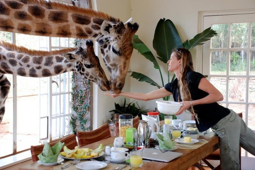 10 hotels with unique extras 10 hotels with unique extras