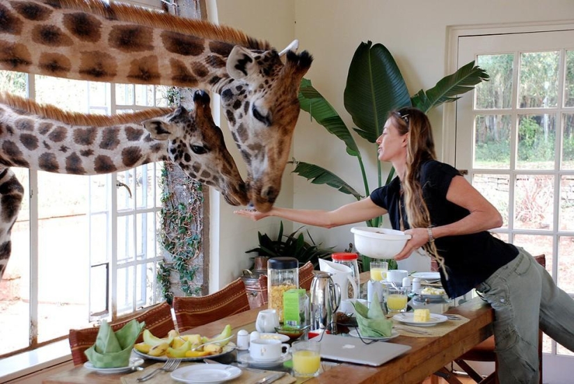 10 hotels with unique extras 10 hotels with unique extras