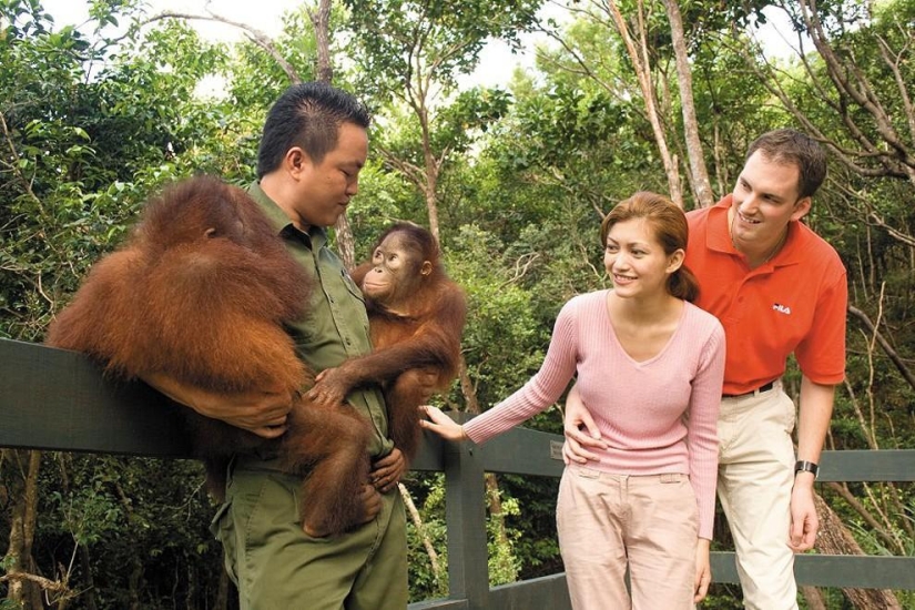 10 hotels with unique extras 10 hotels with unique extras