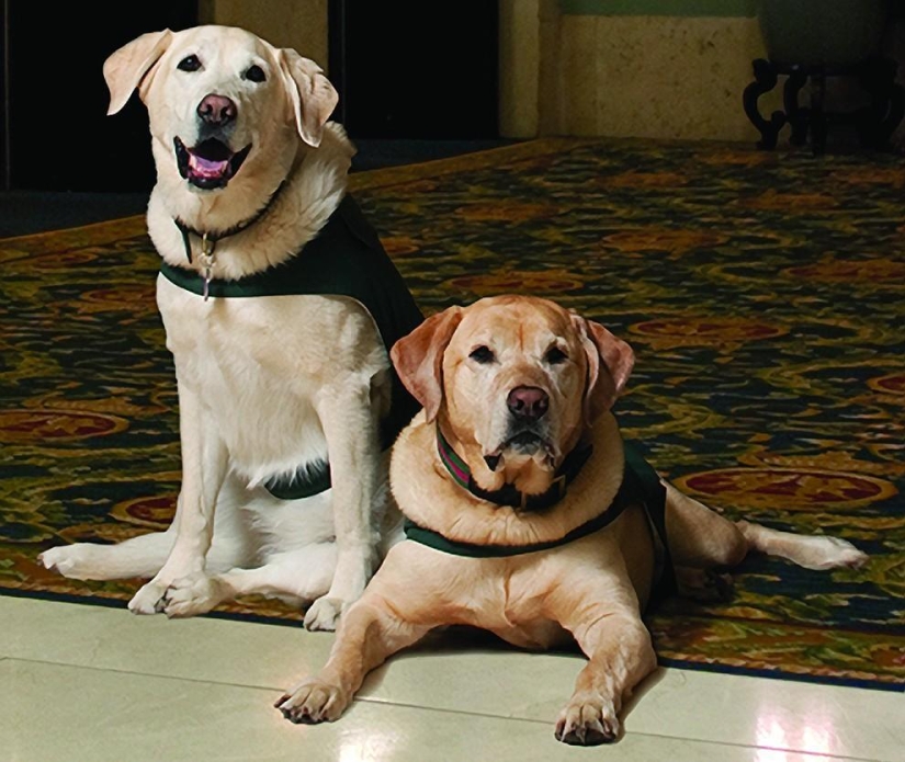 10 hotels with unique extras 10 hotels with unique extras