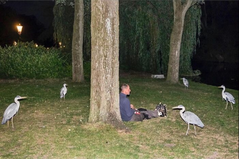 10 imágenes accidentales divertidas que fueron tomadas en el momento y lugar correctos por este fotógrafo callejero 10 imágenes accidentales divertidas que fueron tomadas en el momento y lugar correctos por este fotógrafo callejero