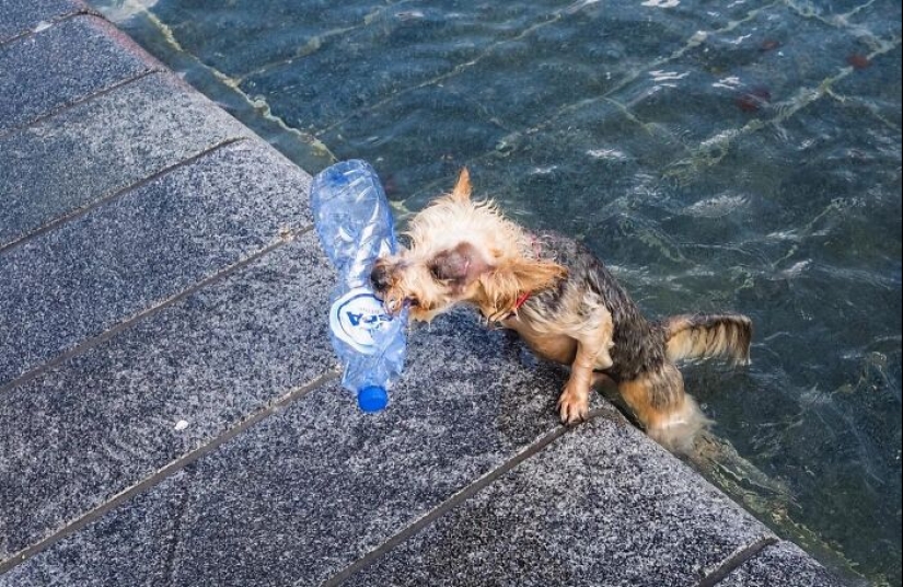 10 imágenes accidentales divertidas que fueron tomadas en el momento y lugar correctos por este fotógrafo callejero 10 imágenes accidentales divertidas que fueron tomadas en el momento y lugar correctos por este fotógrafo callejero