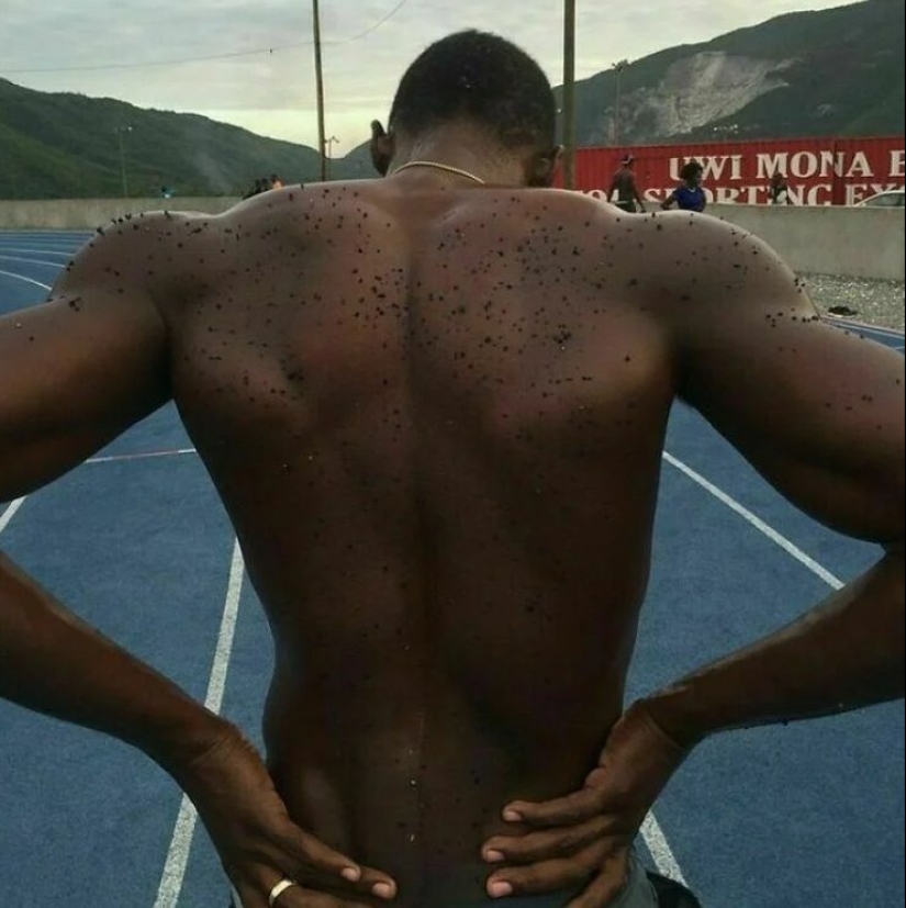 10 increíbles fotos de atletas demostrando los increíbles poderes del cuerpo humano