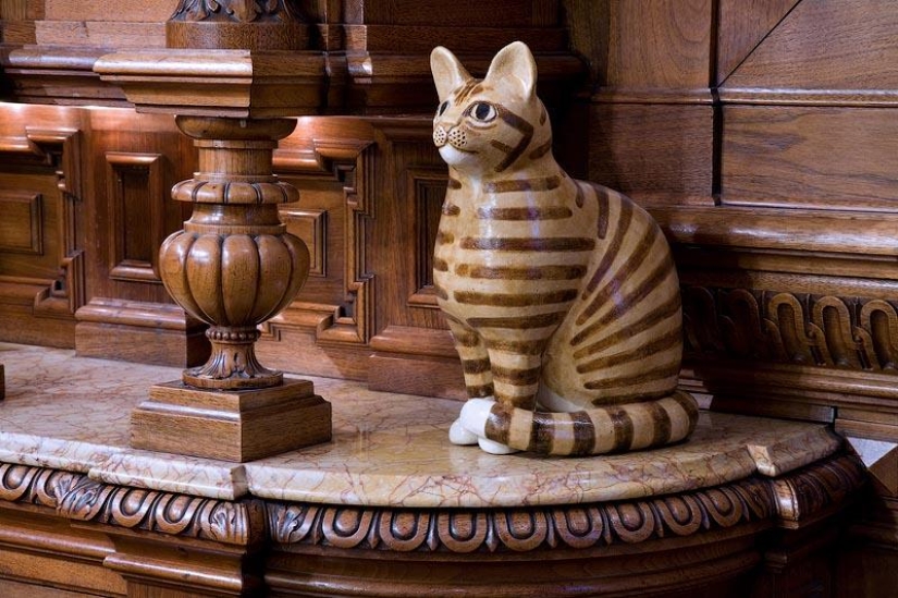 10 lugares que aman a los gatos