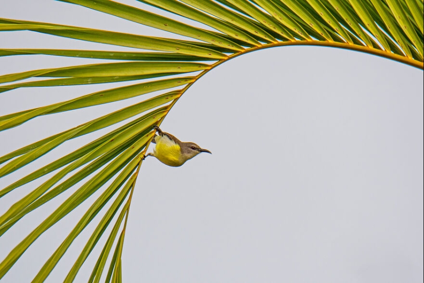 10 Mesmerising Nature Photos That Won The 2023 Nature inFocus Photography Awards 10 Mesmerising Nature Photos That Won The 2023 Nature inFocus Photography Awards