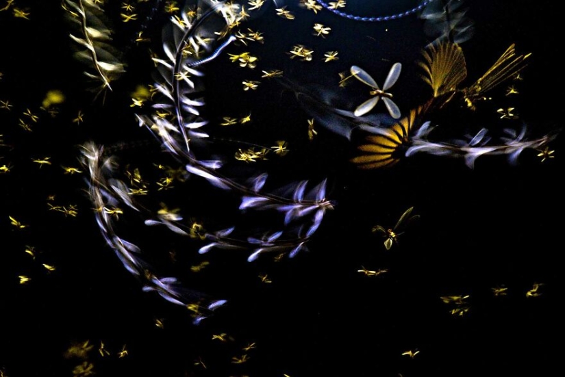 10 Mesmerising Nature Photos That Won The 2023 Nature inFocus Photography Awards 10 Mesmerising Nature Photos That Won The 2023 Nature inFocus Photography Awards