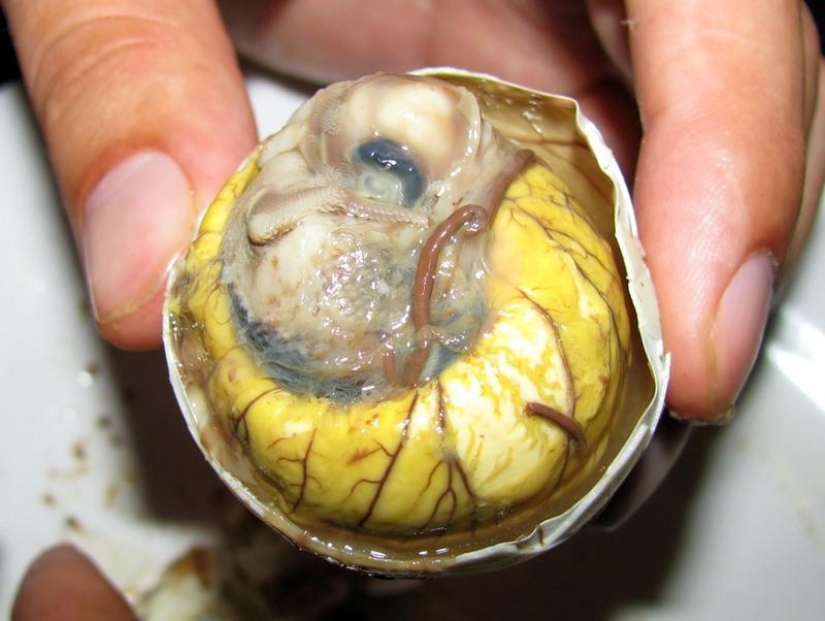 10 most disgusting dishes 10 most disgusting dishes