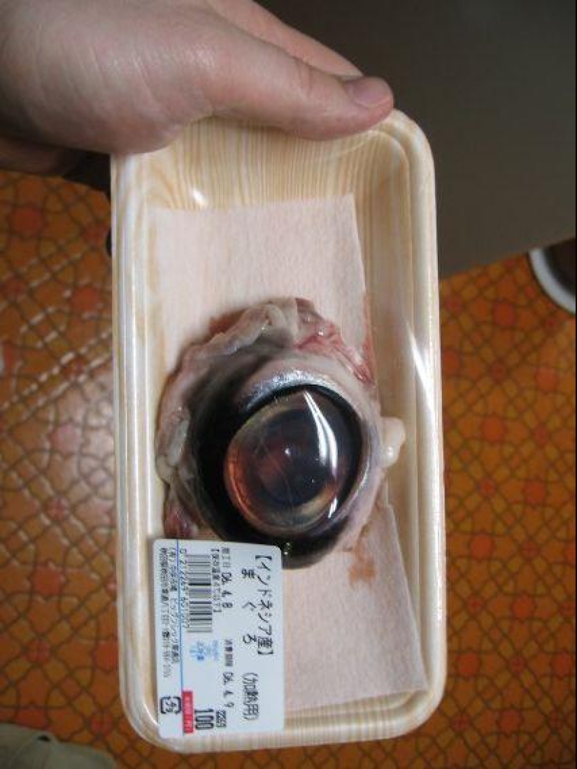 10 most disgusting dishes 10 most disgusting dishes