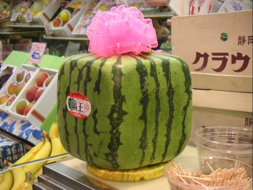 10 Most Expensive Foods in Japan 10 Most Expensive Foods in Japan