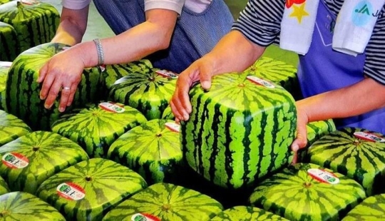 10 Most Expensive Foods in Japan