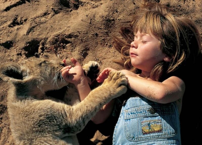 10 most touching stories of communication between children and animals 10 most touching stories of communication between children and animals
