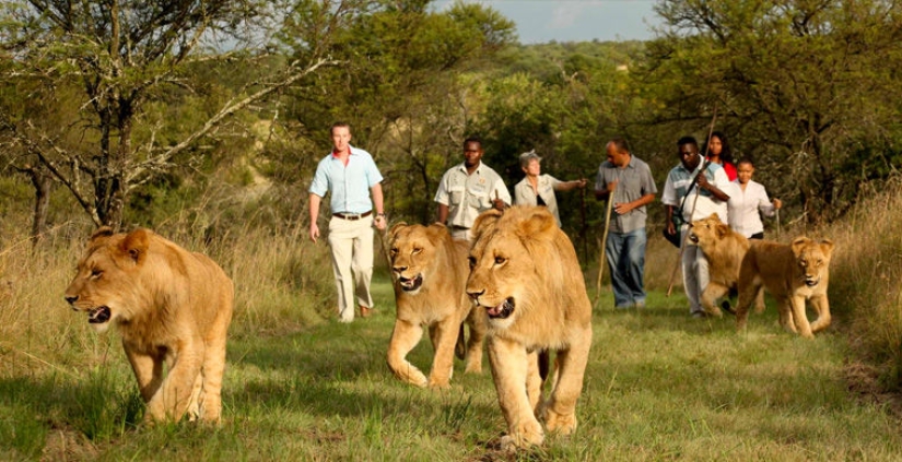 10 most unexpected and exotic services in hotels