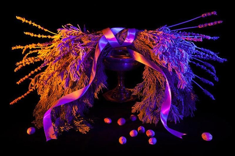 10 Most Useful Magic Collections from Salem 10 Most Useful Magic Collections from Salem