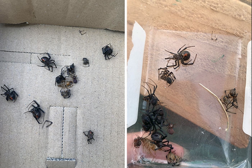 10 Of The Most Unfortunate Things That People Were Forced To Deal With 10 Of The Most Unfortunate Things That People Were Forced To Deal With