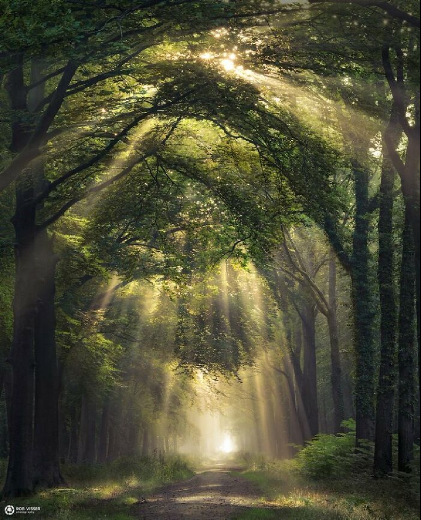 10 Photos Of Mother Earth From This Online Page That Prove Nature Is Lit