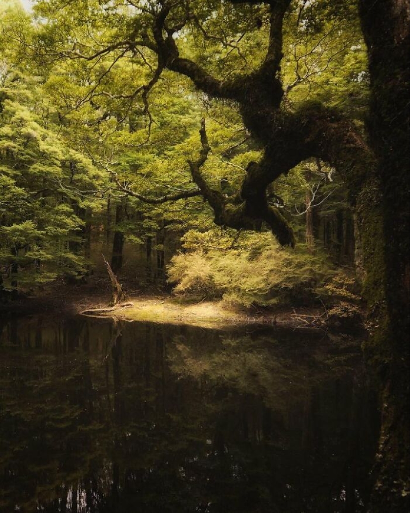 10 Photos Of Mother Earth From This Online Page That Prove Nature Is Lit