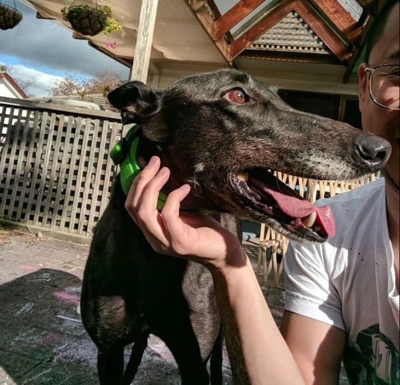 10 photos that will challenge your imagination