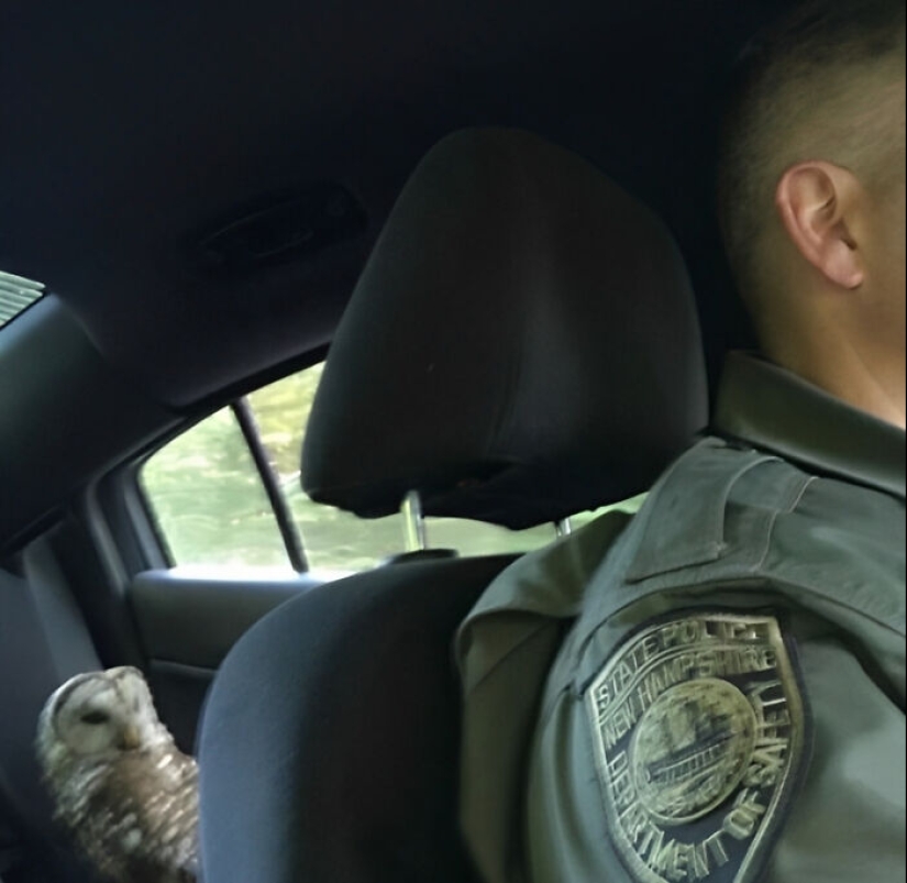 10 Pics That Raise More Questions Than Answers, Posted By “Images That Need More Context”