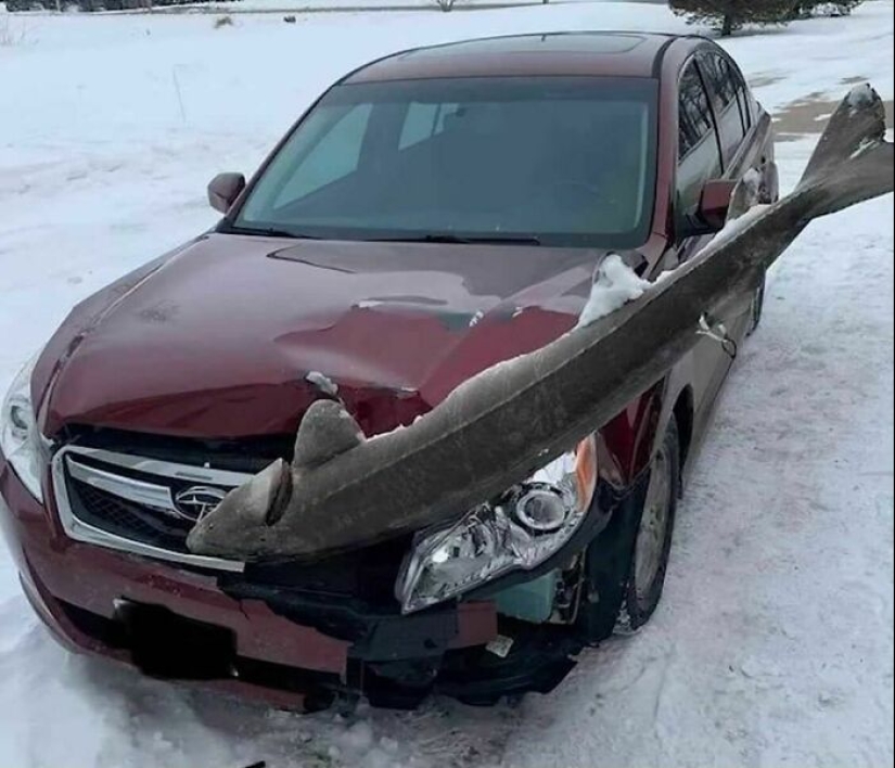 10 Pics That Raise More Questions Than Answers, Posted By “Images That Need More Context”