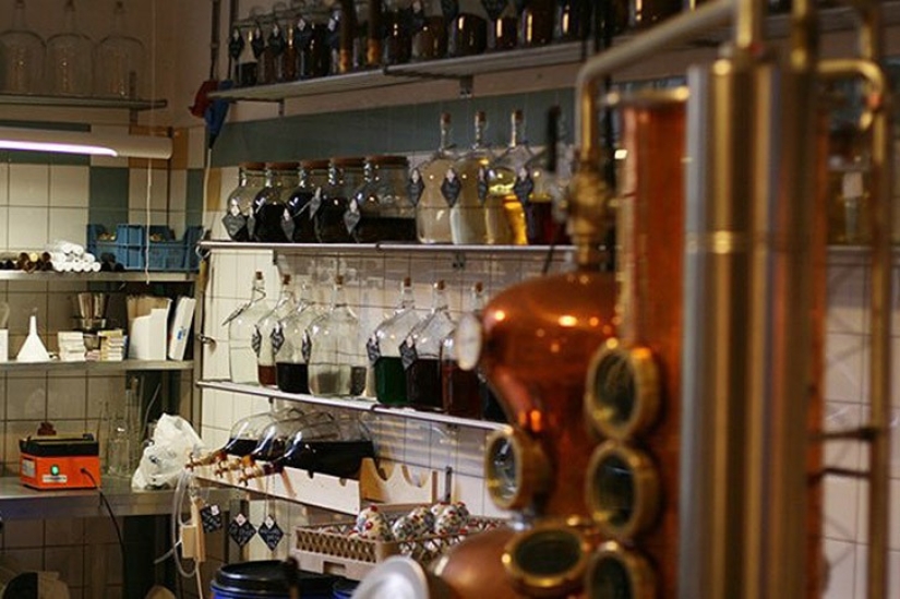 10 places in Amsterdam where Amsterdammers themselves go