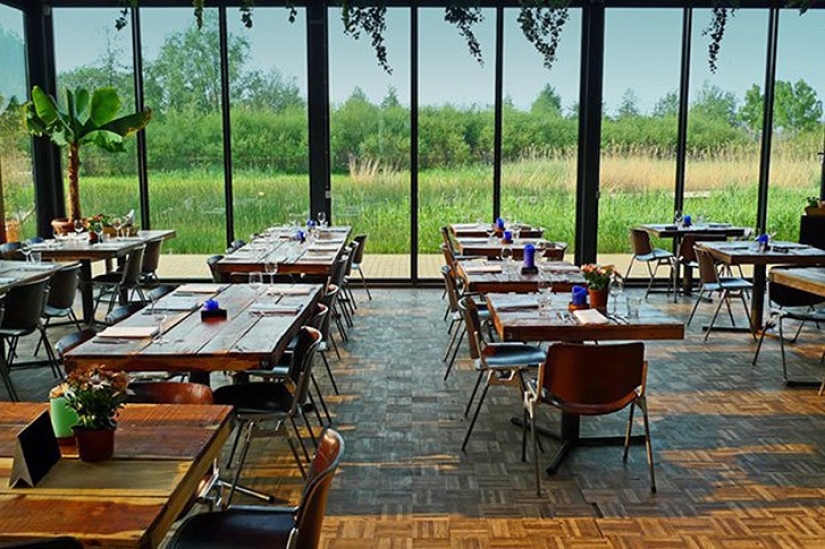 10 places in Amsterdam where Amsterdammers themselves go