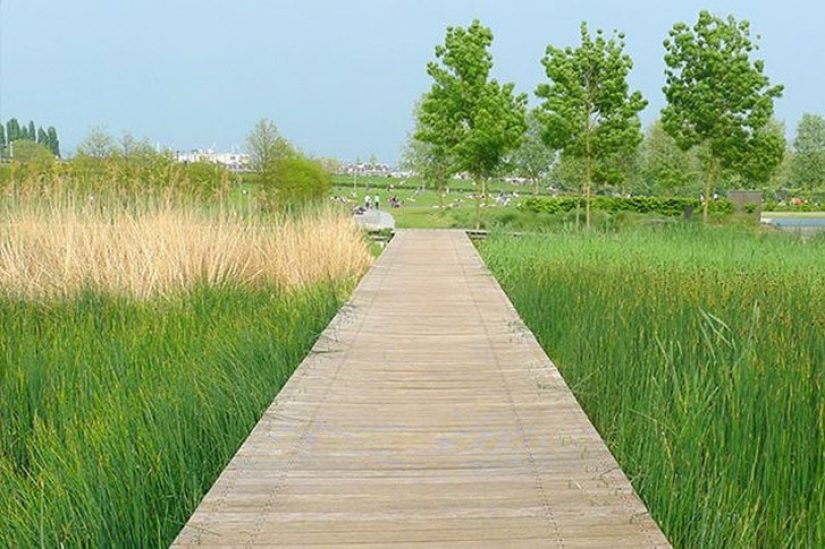 10 places in Amsterdam where Amsterdammers themselves go