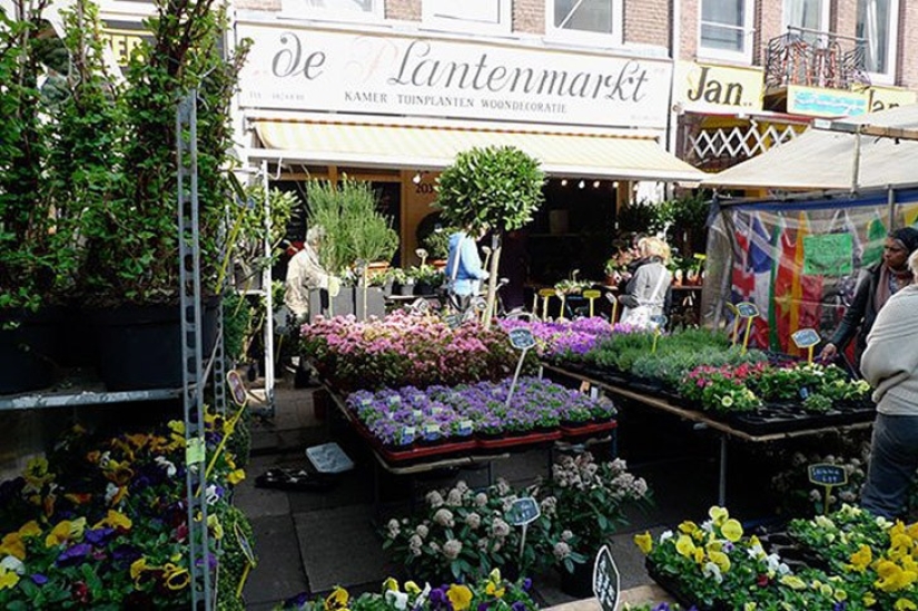 10 places in Amsterdam where Amsterdammers themselves go