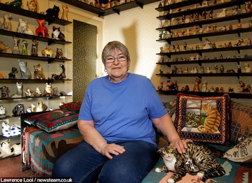 10 places that love cats 10 places that love cats