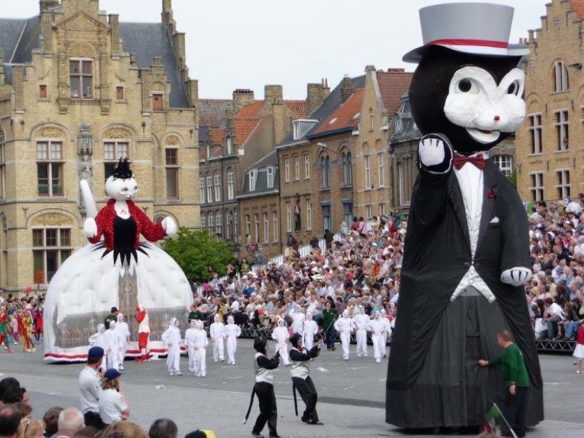 10 places that love cats 10 places that love cats