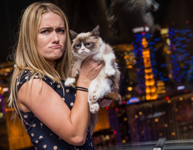 10 preciados secretos del éxito del gato más rico del mundo