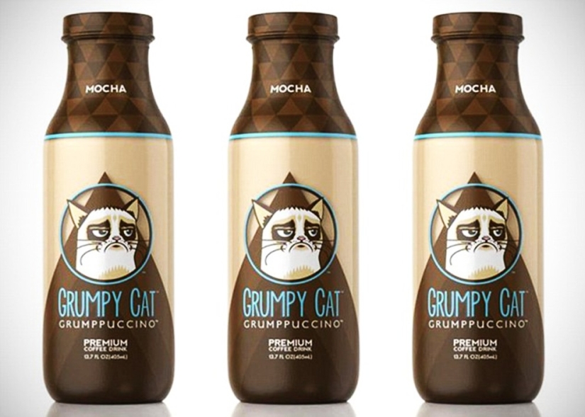 10 preciados secretos del éxito del gato más rico del mundo