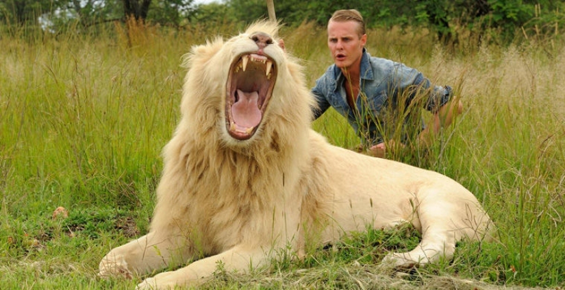 10 servicios más inesperados y exóticos en hoteles 10 servicios más inesperados y exóticos en hoteles