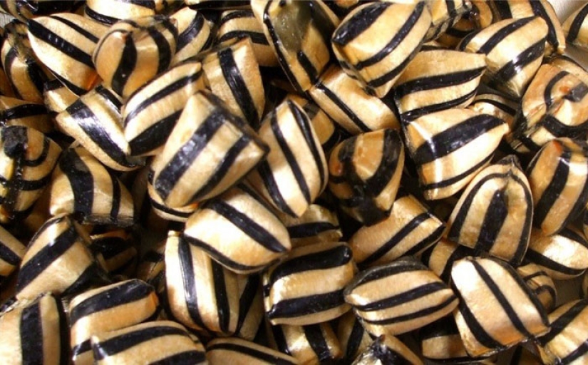 10 Shocking Tragic Food Deaths 10 Shocking Tragic Food Deaths