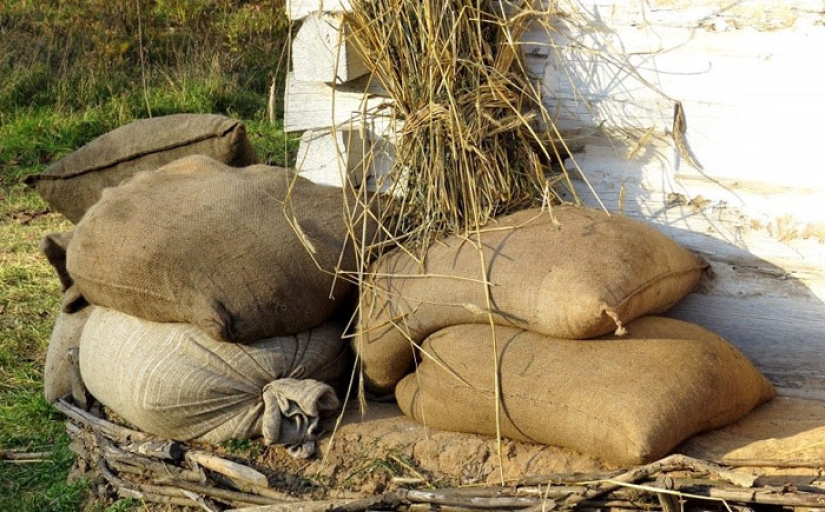 10 Shocking Tragic Food Deaths 10 Shocking Tragic Food Deaths