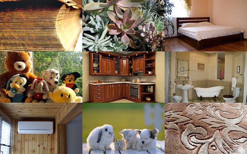 10 sources of allergies in your home 10 sources of allergies in your home