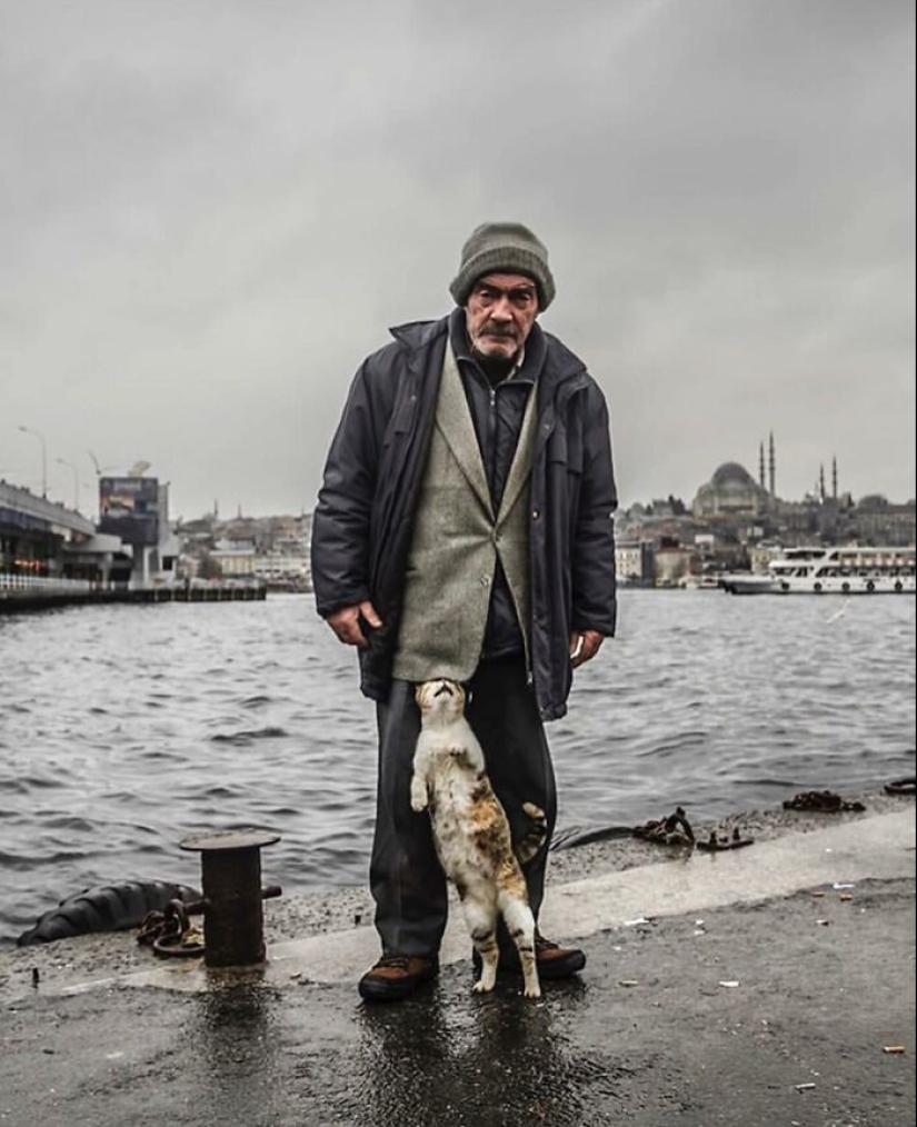 10 Street Photographs That Managed To Capture The Beauty Of Cats, Featured On This Instagram Page (Part2)