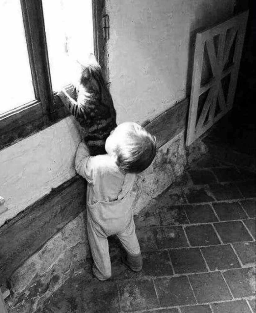 10 Street Photographs That Managed To Capture The Beauty Of Cats, Featured On This Instagram Page (Part2)