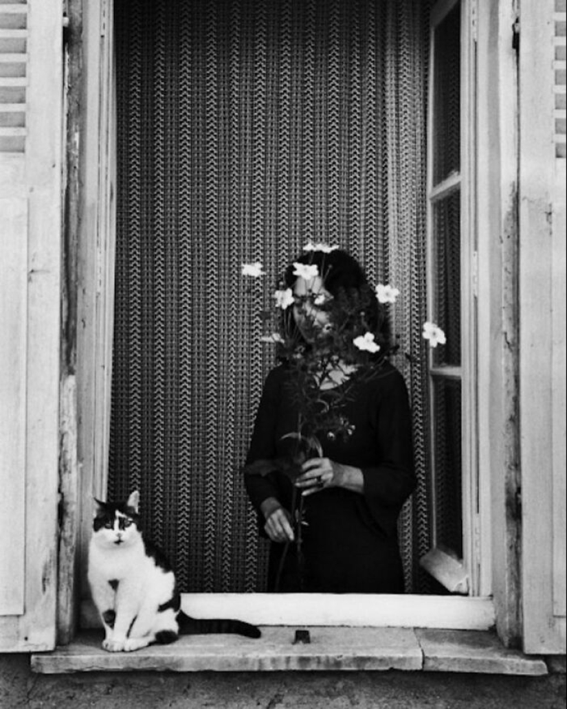 10 Street Photographs That Managed To Capture The Beauty Of Cats, Featured On This Instagram Page (Part2)