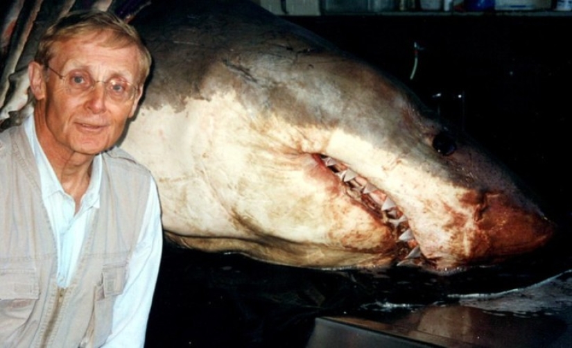 10 successful books whose authors regretted having written them