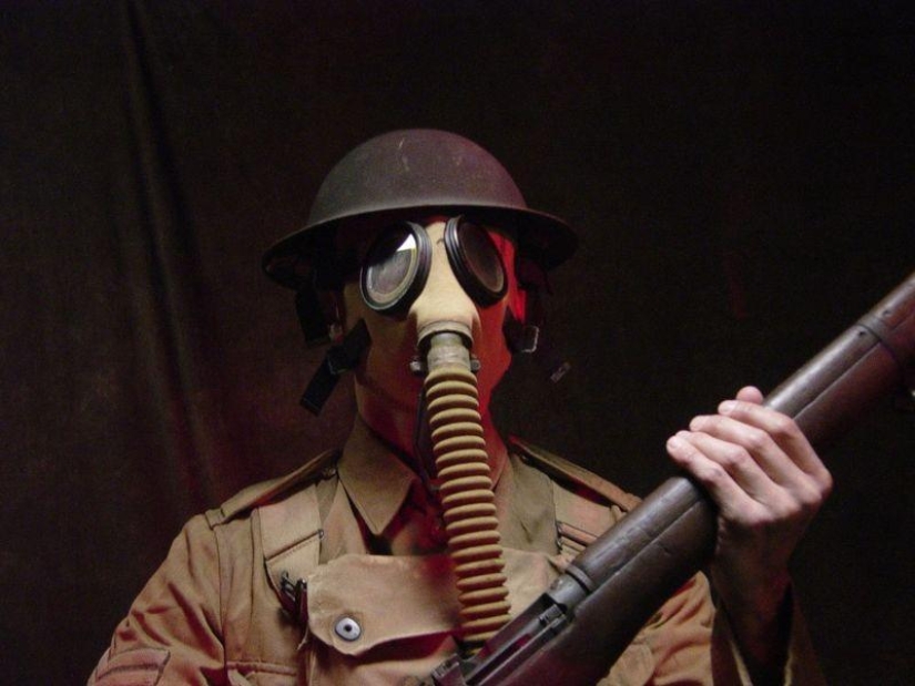 10 Surprising Facts About Coconuts