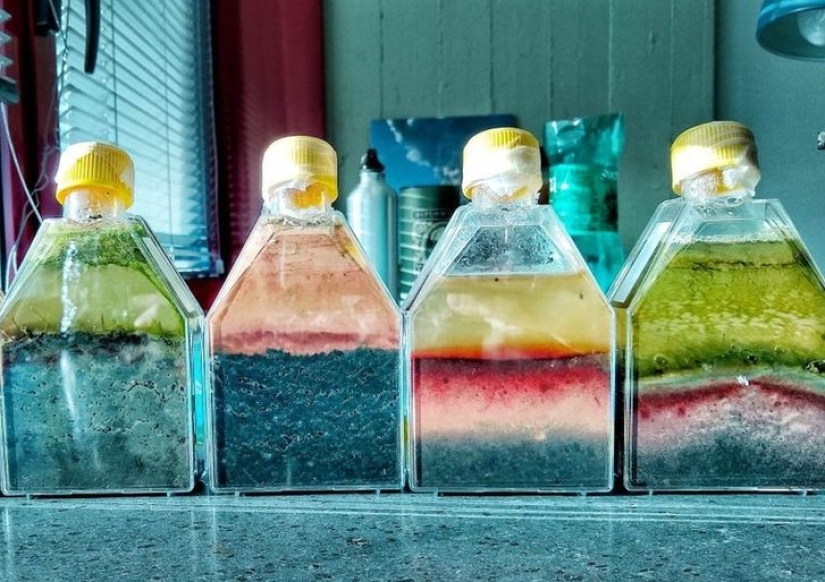 10 times people breathed life into everyday things and turned them into art