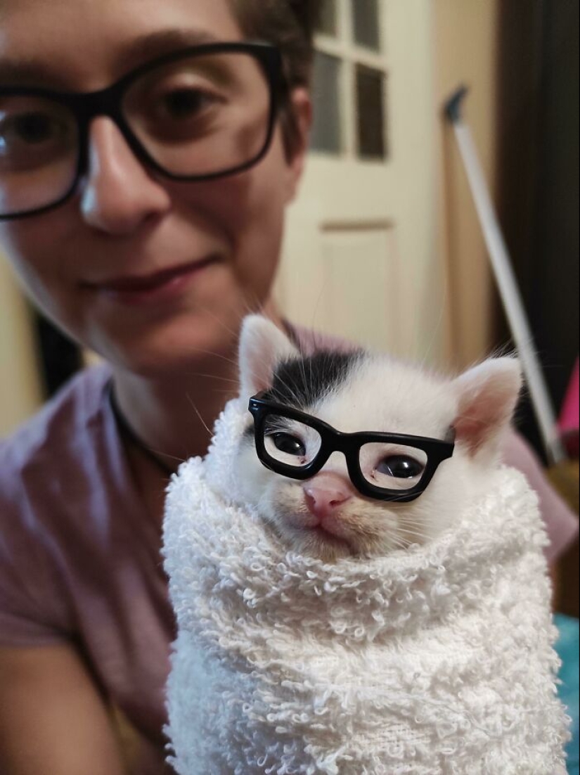 10 Times People Had The Funniest Glasses