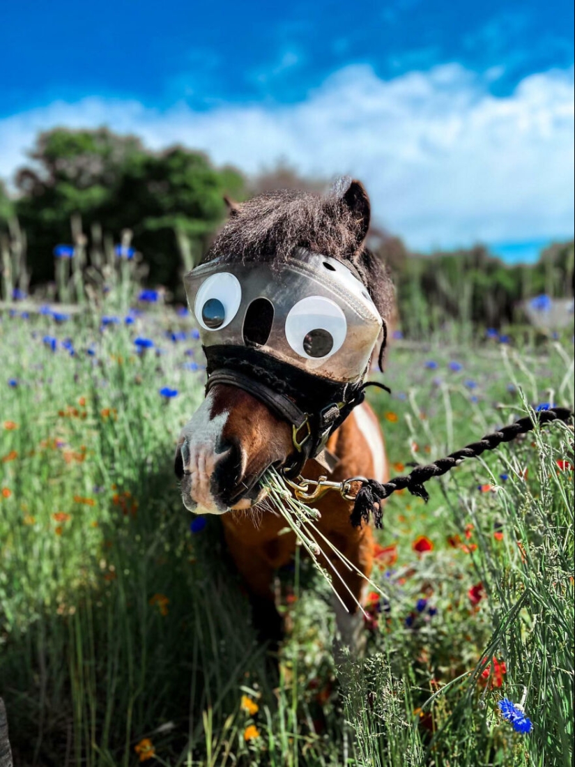 10 Times People Had The Funniest Glasses