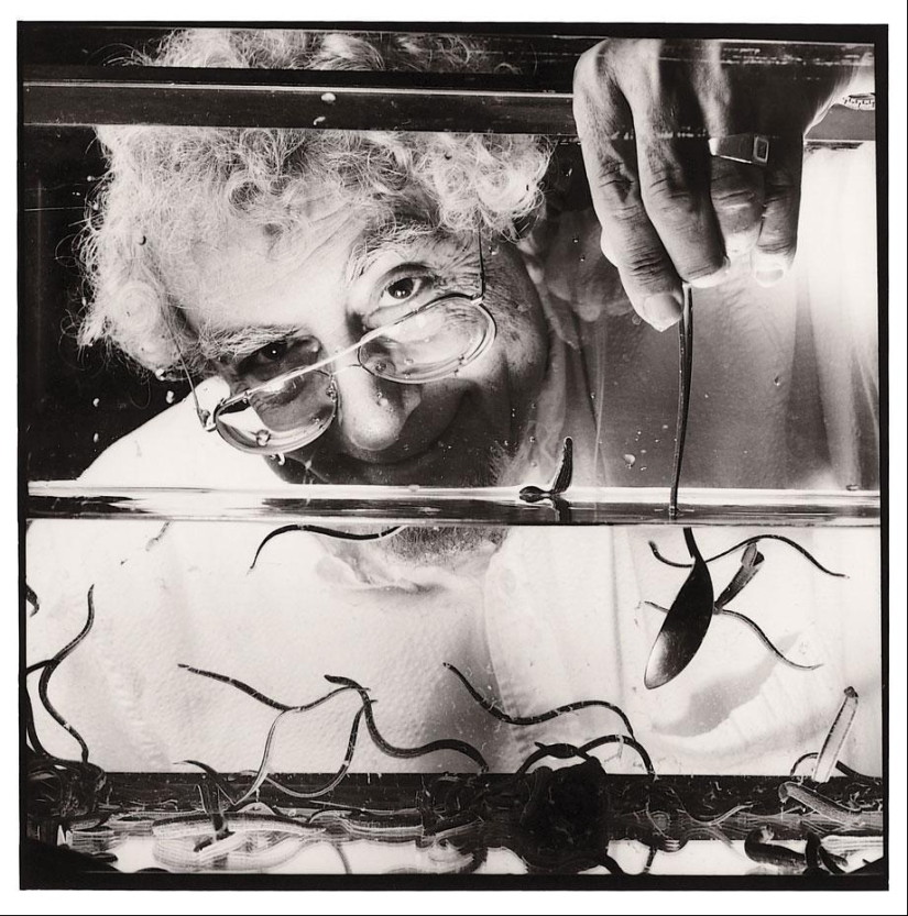 10 trabajos más raros que no sabías que existían