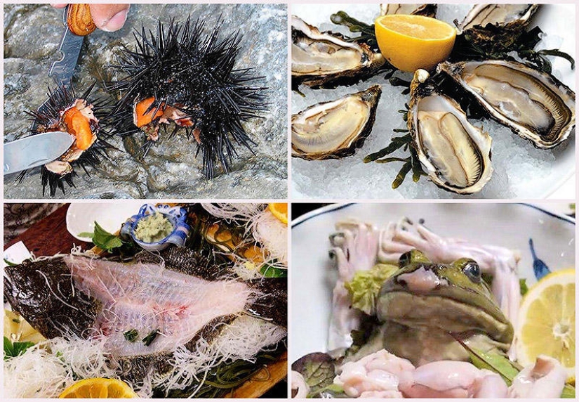 10 unusual delicacies from living creatures 10 unusual delicacies from living creatures