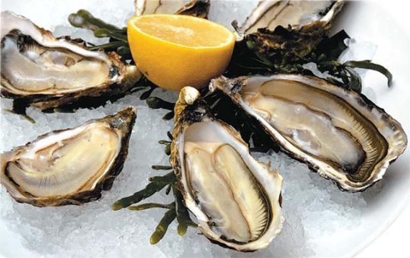 10 unusual delicacies from living creatures 10 unusual delicacies from living creatures