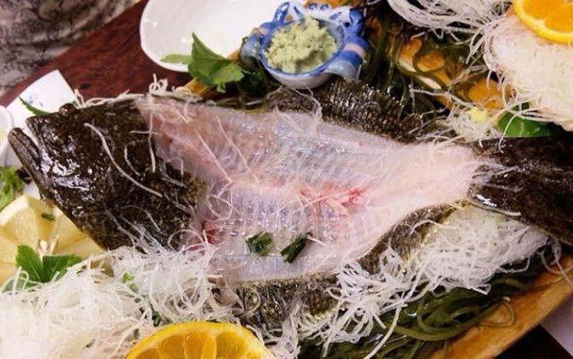 10 unusual delicacies from living creatures 10 unusual delicacies from living creatures