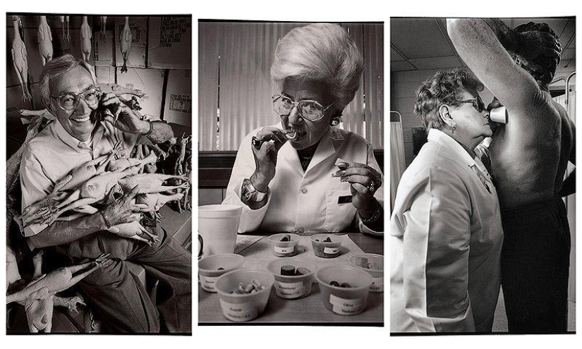 10 Weirdest Jobs You Didn't Know Existed