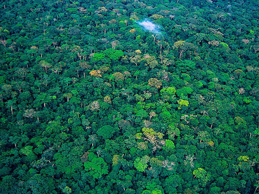 10 wonders of the world that may disappear in the next 20 years